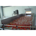 Machine de nettoyage de laveuse de légumes aux fruits
